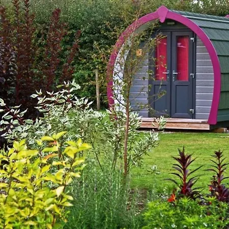 Belle Vista Glamping &