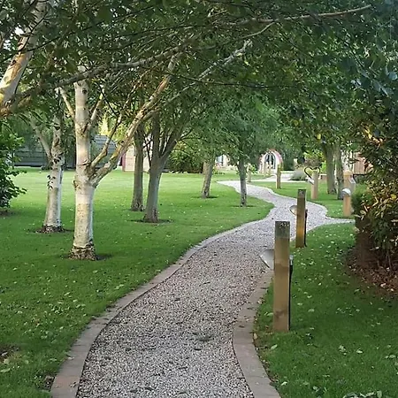 Belle Vista Glamping &