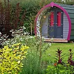 Belle Vista Glamping &
